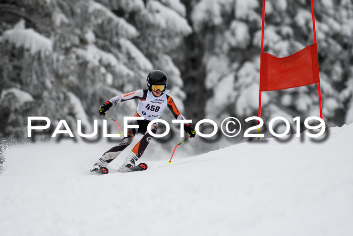 Werdenfelser Kinderskitag. mit Ziener und BZB Cup 2019