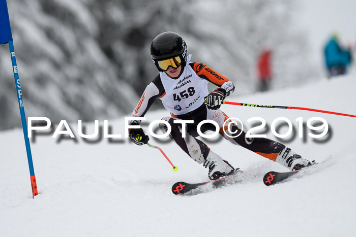 Werdenfelser Kinderskitag. mit Ziener und BZB Cup 2019