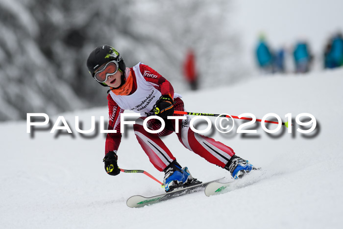 Werdenfelser Kinderskitag. mit Ziener und BZB Cup 2019