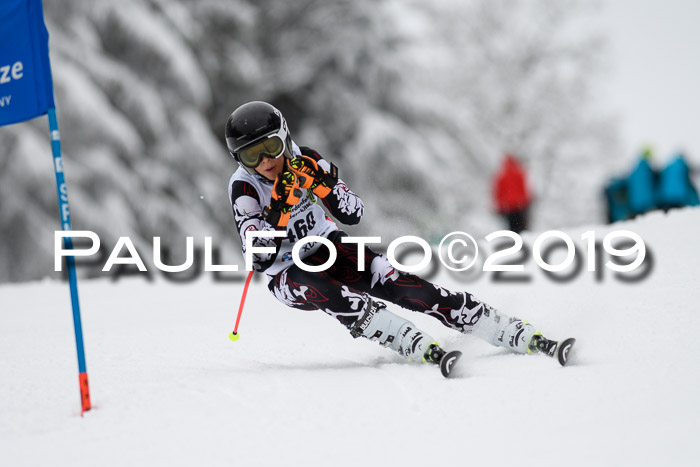 Werdenfelser Kinderskitag. mit Ziener und BZB Cup 2019