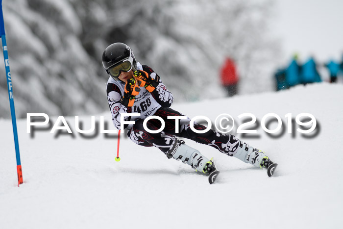 Werdenfelser Kinderskitag. mit Ziener und BZB Cup 2019