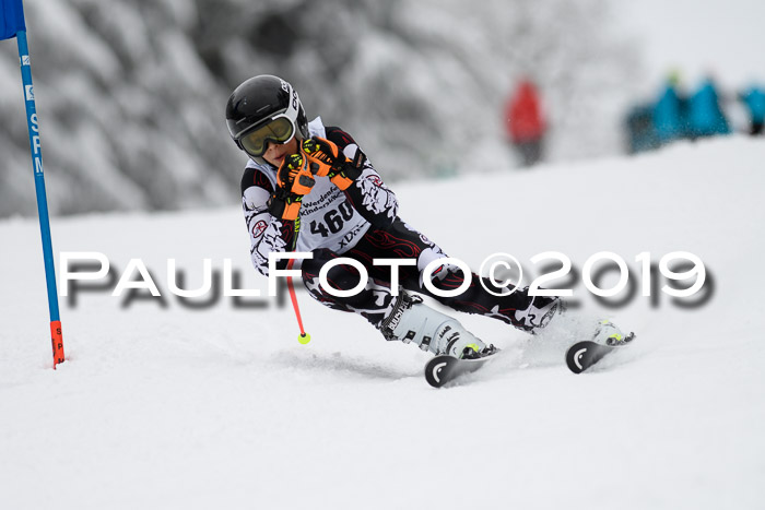 Werdenfelser Kinderskitag. mit Ziener und BZB Cup 2019