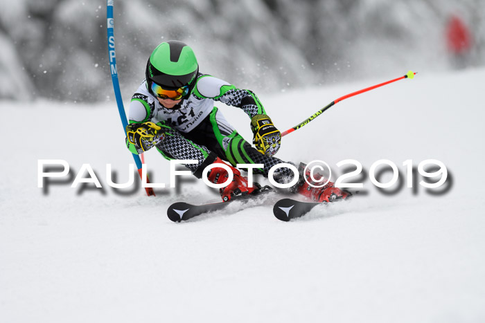 Werdenfelser Kinderskitag. mit Ziener und BZB Cup 2019