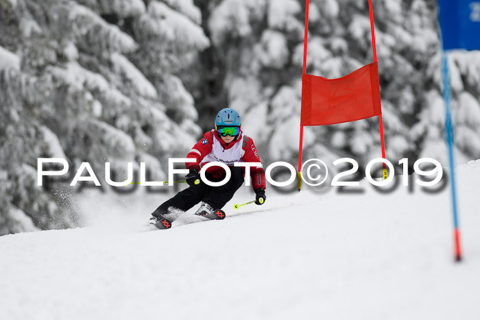 Werdenfelser Kinderskitag. mit Ziener und BZB Cup 2019
