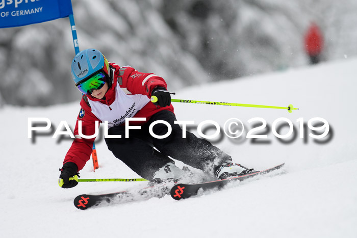 Werdenfelser Kinderskitag. mit Ziener und BZB Cup 2019