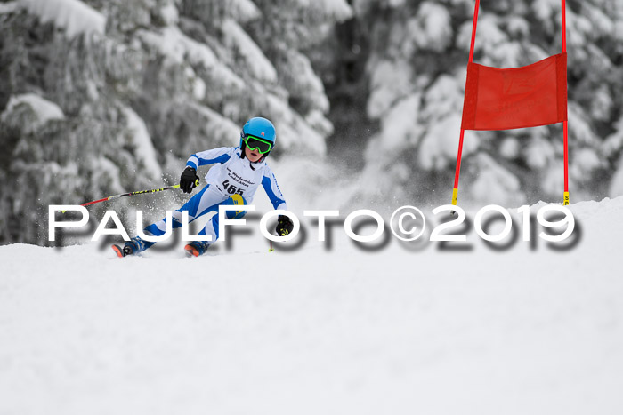 Werdenfelser Kinderskitag. mit Ziener und BZB Cup 2019