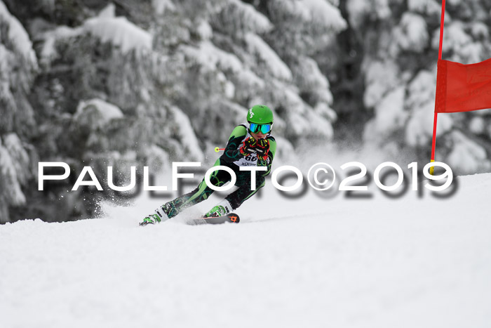 Werdenfelser Kinderskitag. mit Ziener und BZB Cup 2019