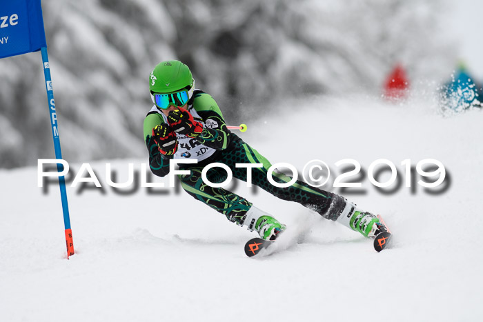 Werdenfelser Kinderskitag. mit Ziener und BZB Cup 2019