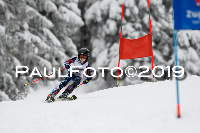 Werdenfelser Kinderskitag. mit Ziener und BZB Cup 2019