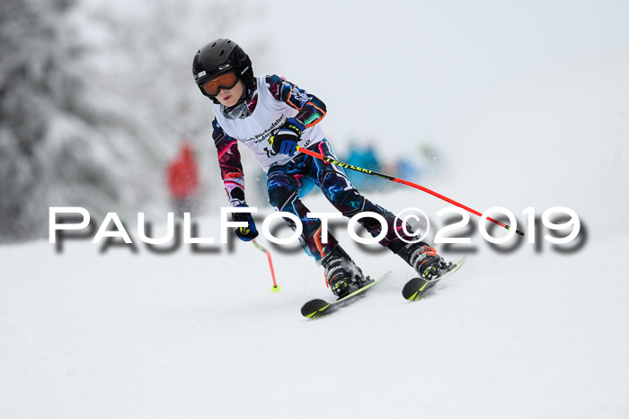 Werdenfelser Kinderskitag. mit Ziener und BZB Cup 2019
