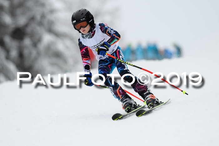 Werdenfelser Kinderskitag. mit Ziener und BZB Cup 2019