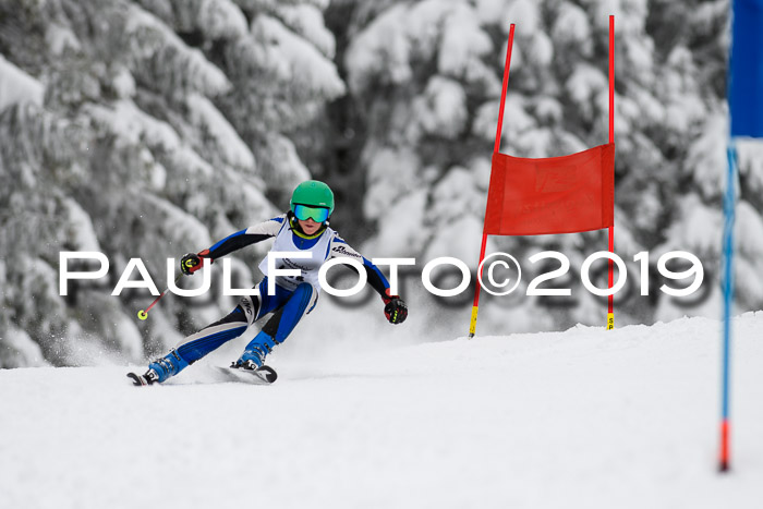 Werdenfelser Kinderskitag. mit Ziener und BZB Cup 2019