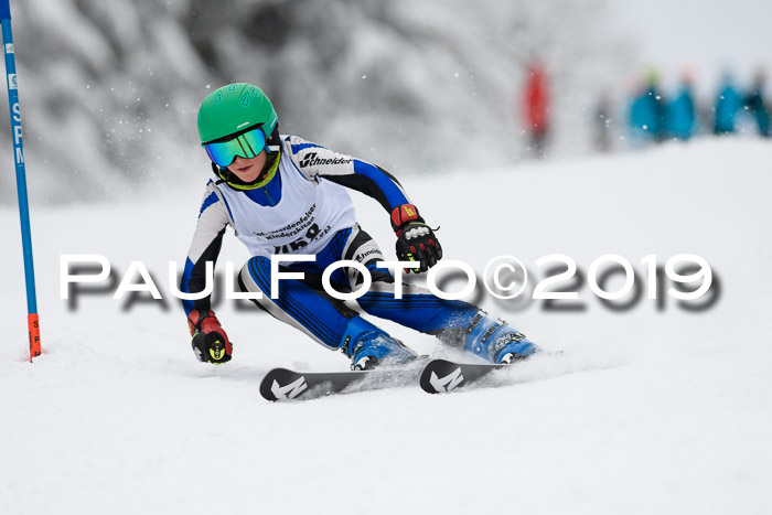 Werdenfelser Kinderskitag. mit Ziener und BZB Cup 2019