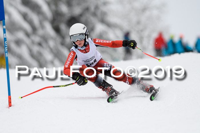 Werdenfelser Kinderskitag. mit Ziener und BZB Cup 2019