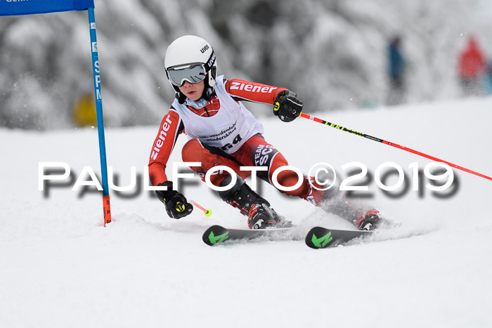 Werdenfelser Kinderskitag. mit Ziener und BZB Cup 2019