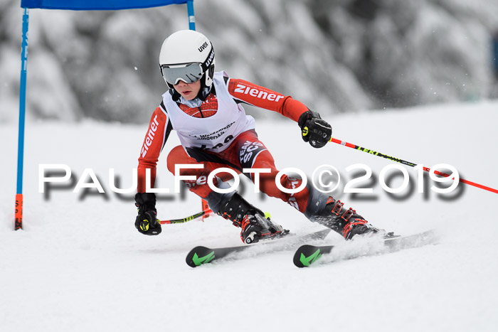 Werdenfelser Kinderskitag. mit Ziener und BZB Cup 2019