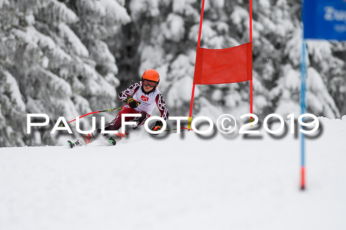 Werdenfelser Kinderskitag. mit Ziener und BZB Cup 2019