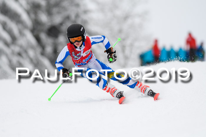 Werdenfelser Kinderskitag. mit Ziener und BZB Cup 2019