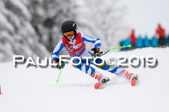 Werdenfelser Kinderskitag. mit Ziener und BZB Cup 2019
