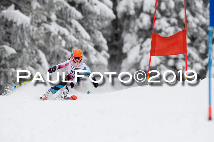 Werdenfelser Kinderskitag. mit Ziener und BZB Cup 2019