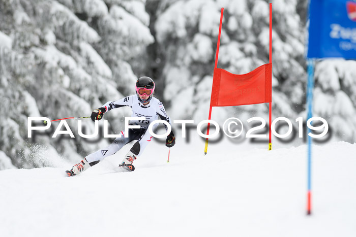 Werdenfelser Kinderskitag. mit Ziener und BZB Cup 2019