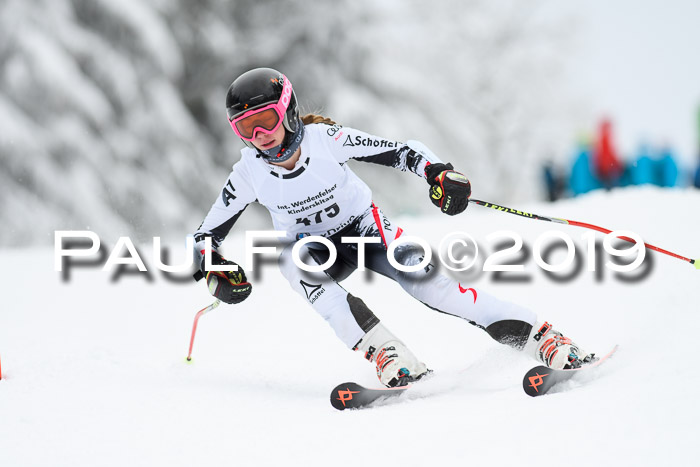 Werdenfelser Kinderskitag. mit Ziener und BZB Cup 2019