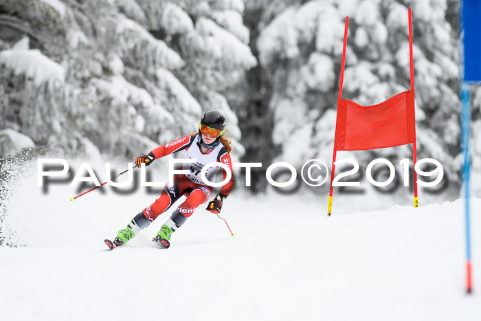 Werdenfelser Kinderskitag. mit Ziener und BZB Cup 2019