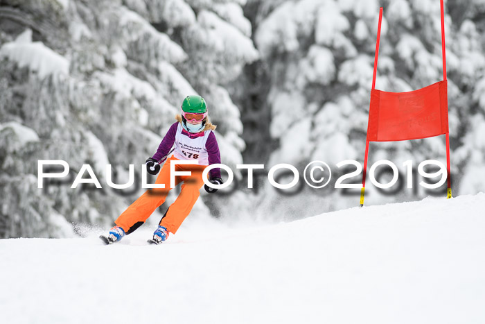 Werdenfelser Kinderskitag. mit Ziener und BZB Cup 2019
