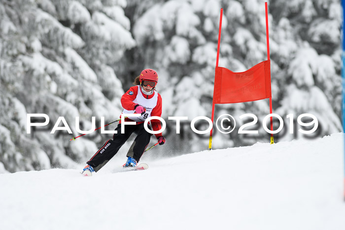 Werdenfelser Kinderskitag. mit Ziener und BZB Cup 2019