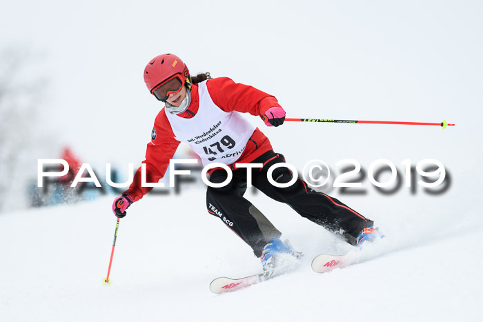Werdenfelser Kinderskitag. mit Ziener und BZB Cup 2019