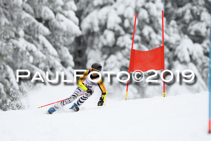 Werdenfelser Kinderskitag. mit Ziener und BZB Cup 2019