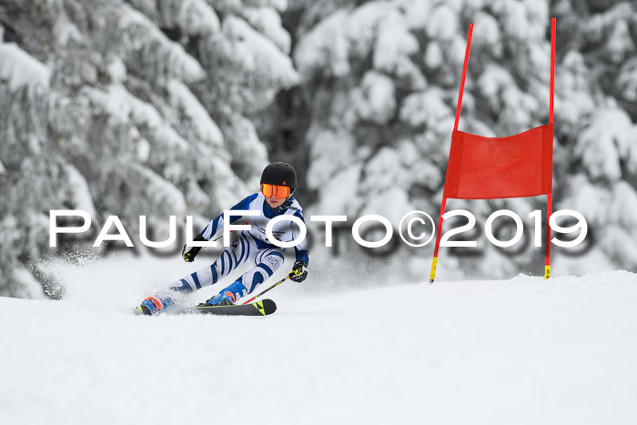 Werdenfelser Kinderskitag. mit Ziener und BZB Cup 2019