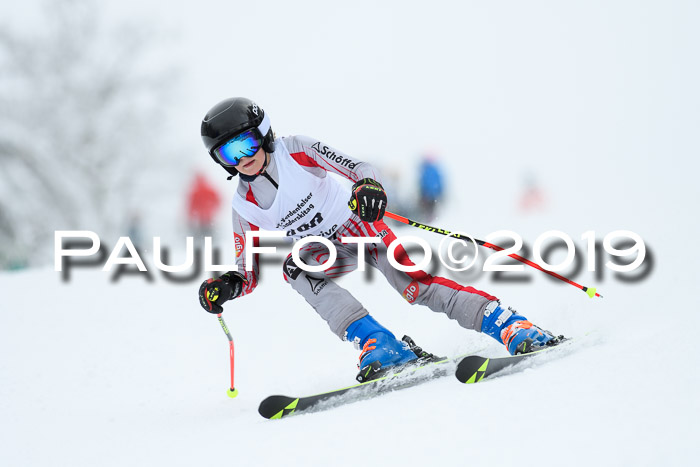 Werdenfelser Kinderskitag. mit Ziener und BZB Cup 2019