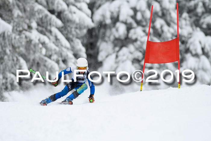 Werdenfelser Kinderskitag. mit Ziener und BZB Cup 2019