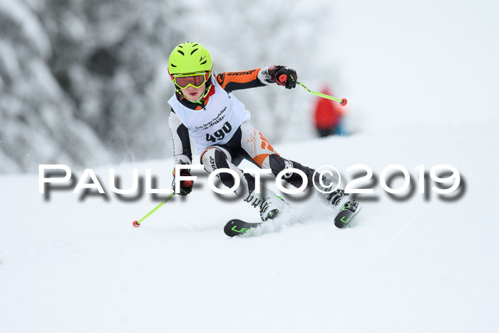 Werdenfelser Kinderskitag. mit Ziener und BZB Cup 2019