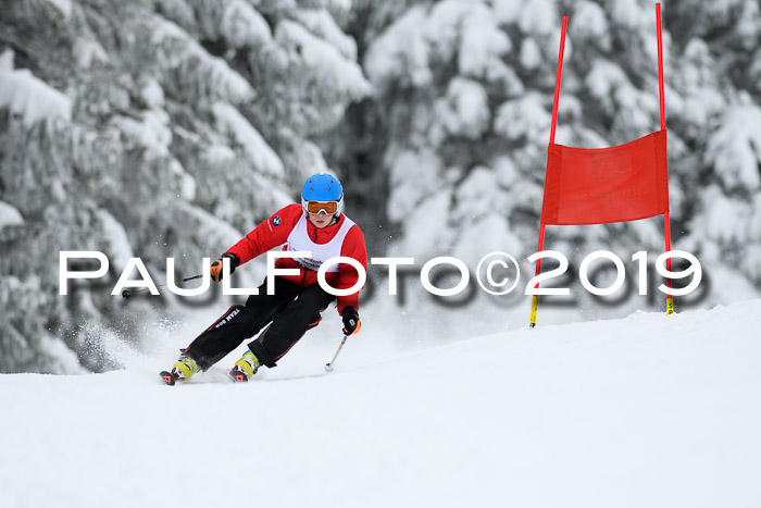 Werdenfelser Kinderskitag. mit Ziener und BZB Cup 2019