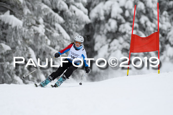 Werdenfelser Kinderskitag. mit Ziener und BZB Cup 2019