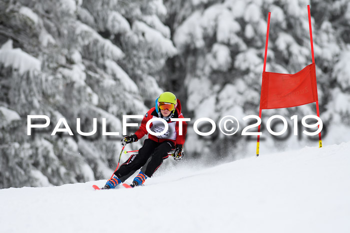 Werdenfelser Kinderskitag. mit Ziener und BZB Cup 2019