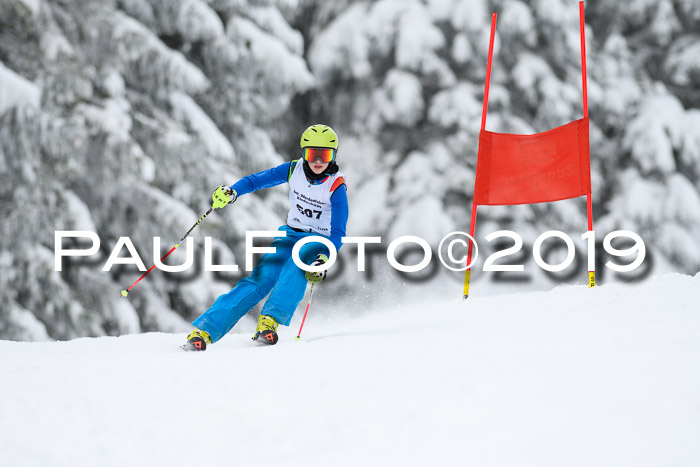 Werdenfelser Kinderskitag. mit Ziener und BZB Cup 2019