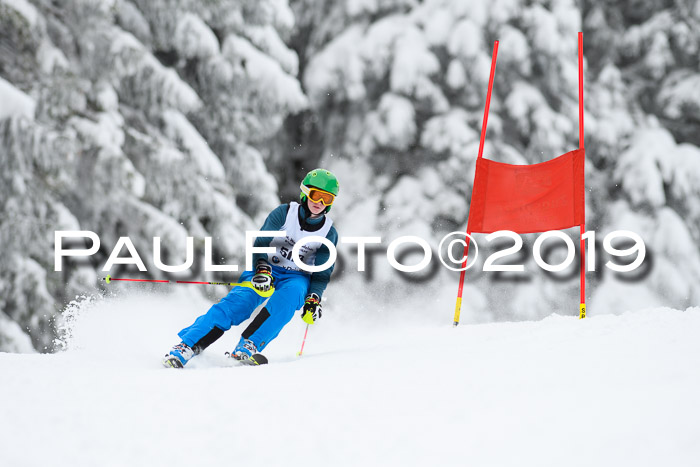 Werdenfelser Kinderskitag. mit Ziener und BZB Cup 2019