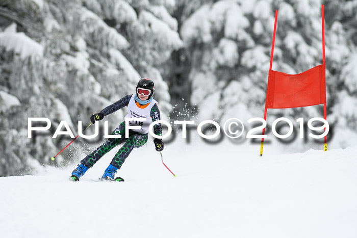 Werdenfelser Kinderskitag. mit Ziener und BZB Cup 2019