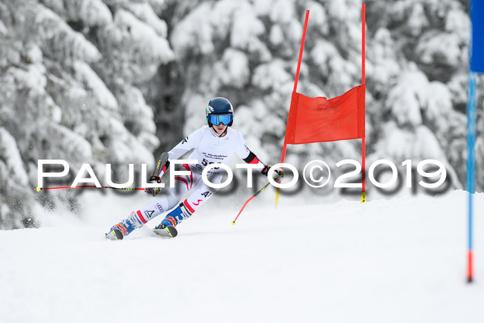 Werdenfelser Kinderskitag. mit Ziener und BZB Cup 2019