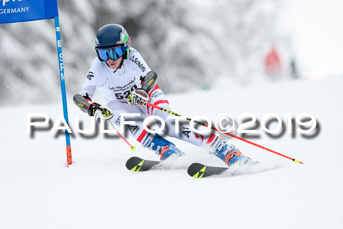 Werdenfelser Kinderskitag. mit Ziener und BZB Cup 2019