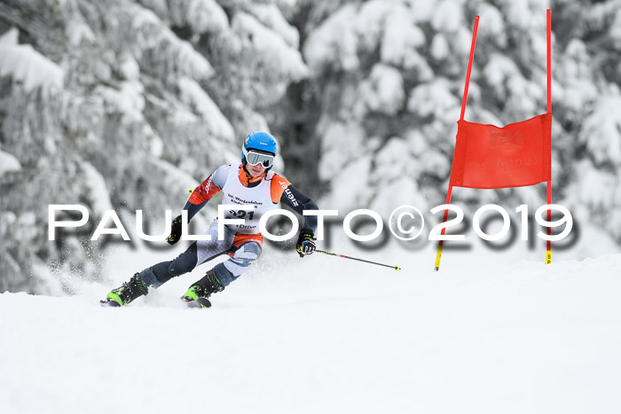 Werdenfelser Kinderskitag. mit Ziener und BZB Cup 2019