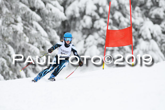 Werdenfelser Kinderskitag. mit Ziener und BZB Cup 2019