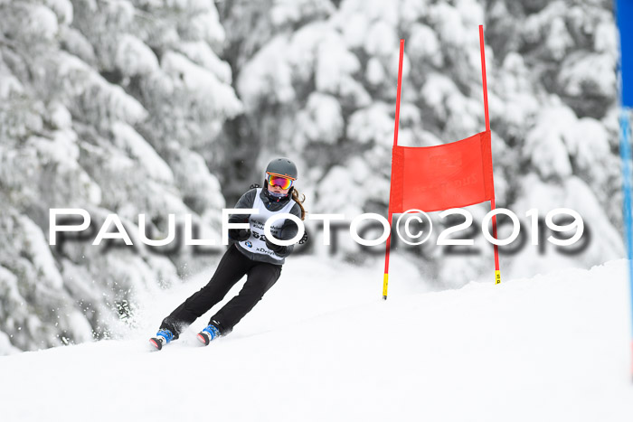 Werdenfelser Kinderskitag. mit Ziener und BZB Cup 2019