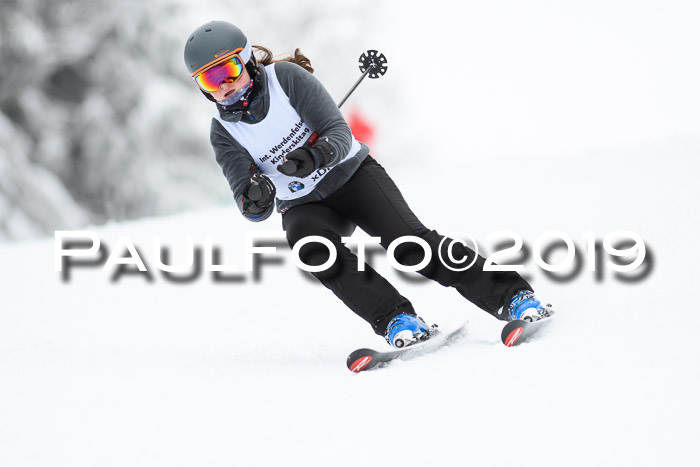 Werdenfelser Kinderskitag. mit Ziener und BZB Cup 2019