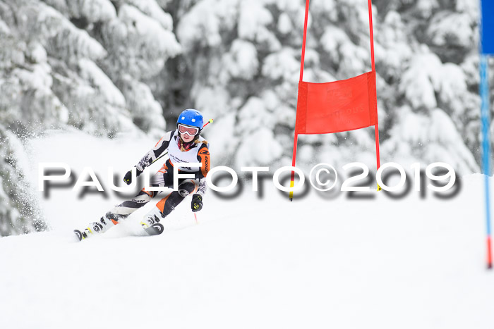 Werdenfelser Kinderskitag. mit Ziener und BZB Cup 2019