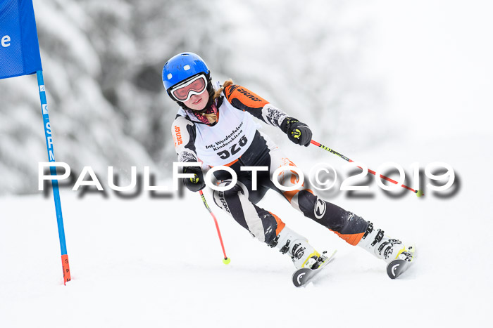 Werdenfelser Kinderskitag. mit Ziener und BZB Cup 2019