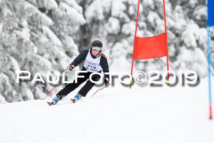 Werdenfelser Kinderskitag. mit Ziener und BZB Cup 2019